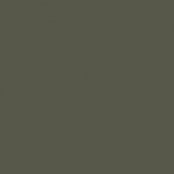 Model Color Vert Foncé Us Dark Green Mat, FS34079, 18 ml