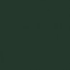 Model Color Jaune Olive / Yellow Olive Mat, RAL6008, FS34096, 17 ml