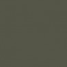 Model Color Gris Olive Grey Mat, RAL6006, 17 ml