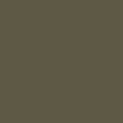 Model Color Brun Violet / Brown Violet Mat, FS34088, 18 ml