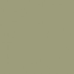 Model Color Gris Pierre / Stone Grey Mat, RAL7030, FS36357, 17 ml