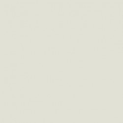 Model Color Gris Argenté / silvergrey Mat, RAL9002, FS37150, 18 ml