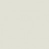 Model Color Gris Argenté / silvergrey Mat, RAL9002, FS37150, 18 ml