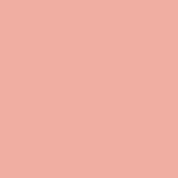 Model Color Rose Saumon / Salmon Rose Mat, 17 ml