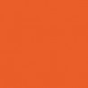 Model Color Orange Foncé / Bright Orange Mat,  RAL2004, 18 ml