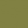 Model Color Or Olive / Golden Olive Mat, 17 ml