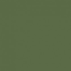 Model Color Vert Uniform Green Mat, 18 ml