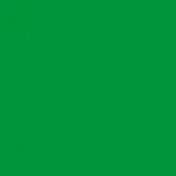 Model Color Vert Clair / Light Green Mat, FS34230, 17 ml