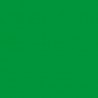 Model Color Vert Clair / Light Green Mat, FS34230, 17 ml