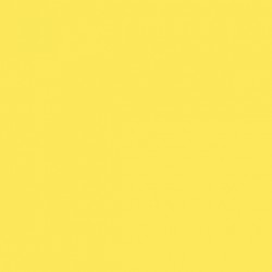 Model Color Jaune Clair / Light Yellow Mat, 17 ml