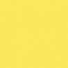 Model Color Jaune Clair / Light Yellow Mat, 17 ml