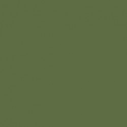 Model Color Vert Olive Green Mat, 17 ml