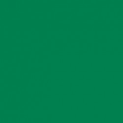 Model Color Vert Park Green Flat Mat, 17 ml