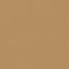 Model Color Jaune Désert / Desert Yellow Mat, FS30257, 17 ml