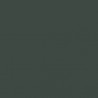 Model Color Vert Noir SNCB /  Black Green Mat, 18 ml