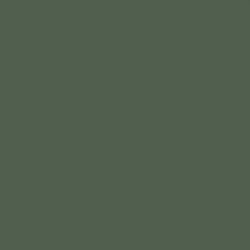 Model Air Gunship Green,18ml
