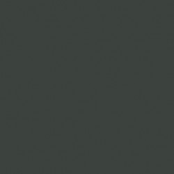 Model Air Vert Noir / Black Green RLM70,17ml