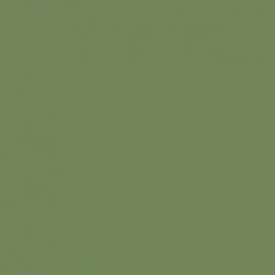 Model Air Vert Pâle / Pale Green,17ml