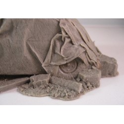 "The Unfortunate Beetle" 1/35