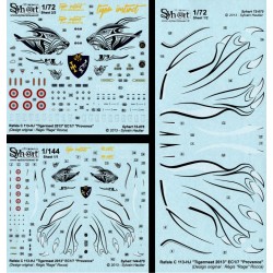 RAFale c 113-hj  tigermeet 2013 ec 1/7 provence 1/72