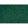 Microflor, Vert foncé / Mikroflor dark green, 28x14cm