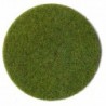 Fibres d'herbes Sol de Forêt / Grass fiber Forest ground, 2-3 mm, 100g