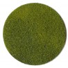 Fibres d'herbes vert clair / Static Grass light green, 50gr