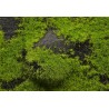 Tapis avec collines / Wild Grass & Hills Type 4