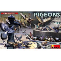 Pigeons 1/35