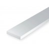 Bande / Strip 0.25x0.75 mm (10pces)