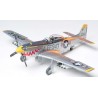 F-51D Mustang 1/48