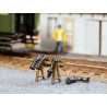 Tuyauterie d'accouplement /Steam Heater Coupler Set  H0
