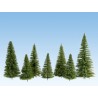40 Sapins de 7-14 cm