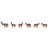Bouquetins et chamois / Ibexes and chamois H0
