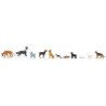 Chiens et chats / Dogs and cats