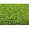 Tapis vert printemps / Grass Mat “Spring Meadow”, 200 x 120 cm