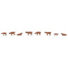 Vaches Allgäu / Allgäu Swiss Brown cattle N