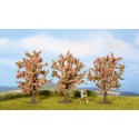 3 Arbres fruitiers fleuris, rose / Fruit Trees, pink blossom