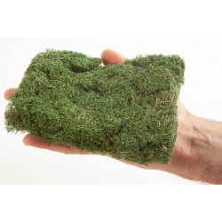 PROFI Bushes medium green