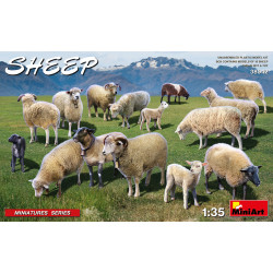 Mouton / Scheep 1-35