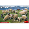 Mouton / Scheep 1-35