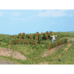 10 Haies et Buissons de roses / 10 Rose Hedges and Bushes H0