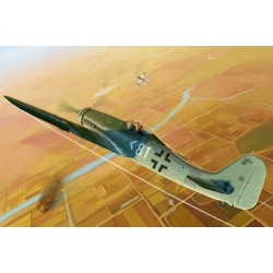 Focke Wulf Fw190D-11 1/48