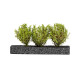 3 Buissons Vert Clair / Light Green Bushes 4-5cms