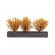 3 Buissons Jaune Foncé / Dark Yellow Bushes 4-5cms