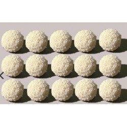 Rubber Sponge Balls White 15 pcs Diamètre 15 mm