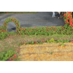2 haies de rosiers flexibles  H0/TT/N / 2 flexible rose hedges