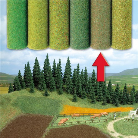 Tapis fleuri / Grass mat flowered field